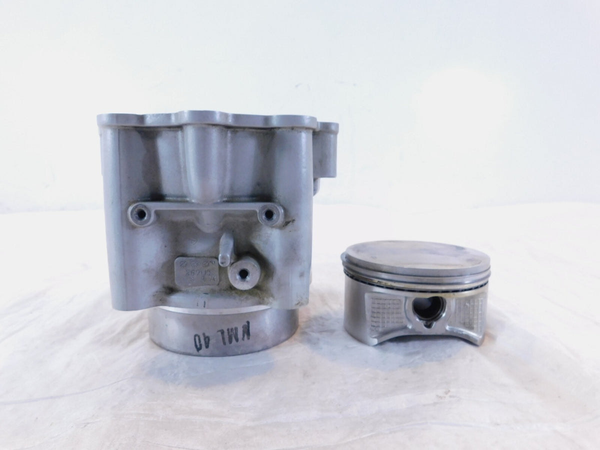 BMW F650 F650GS Dakar & F650CS Scarver Engine Motor Cylinder Barrel Jug ...