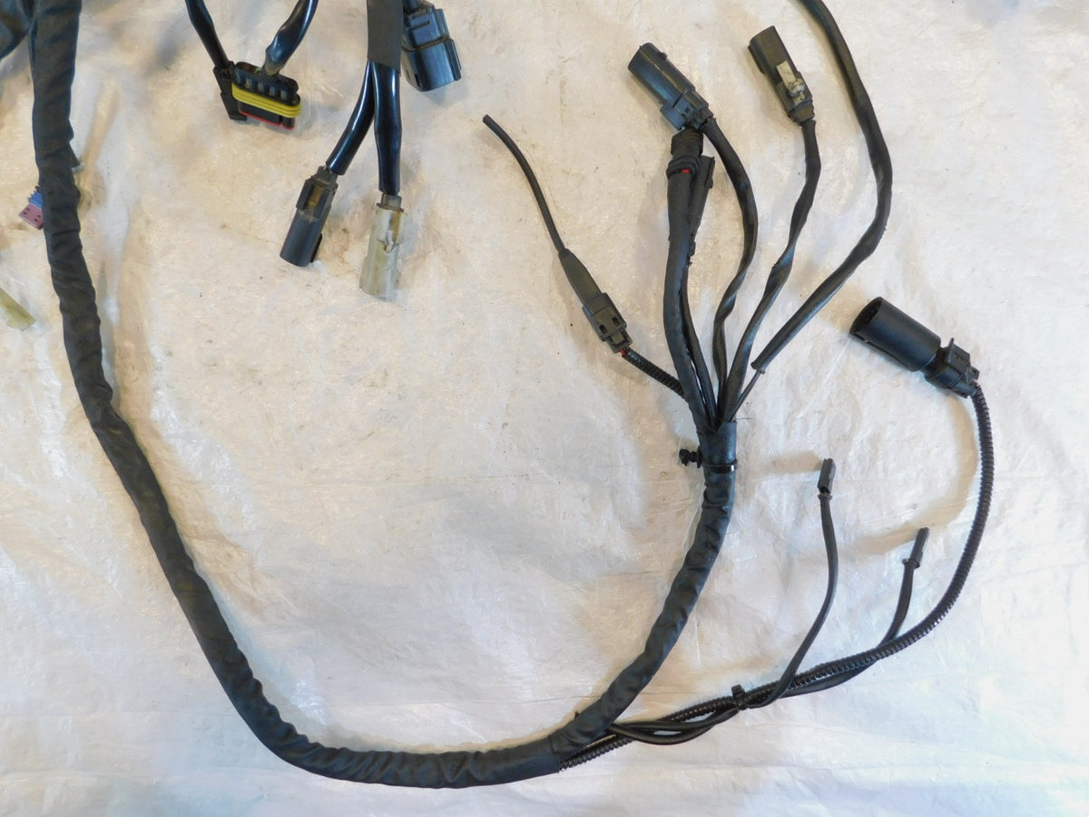 2015 Harley Davidson Tri Glide Ultra Classic Trike Main Wire Wiring Harness Loom - C3 Cycle