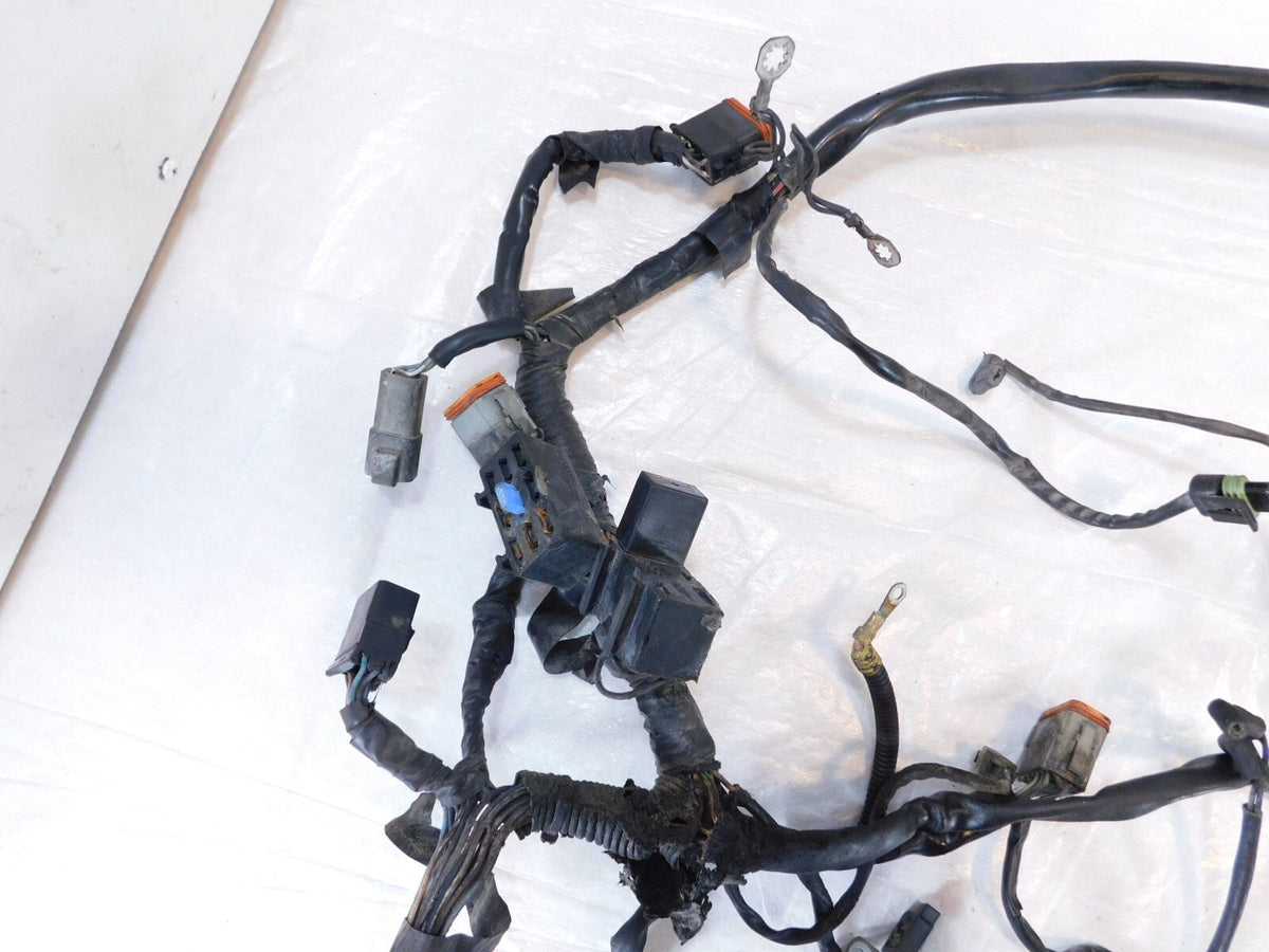 2001 & 2002 Harley Davidson Softail Fat Boy & Deuce Main Wiring Wire Harness - C3 Cycle