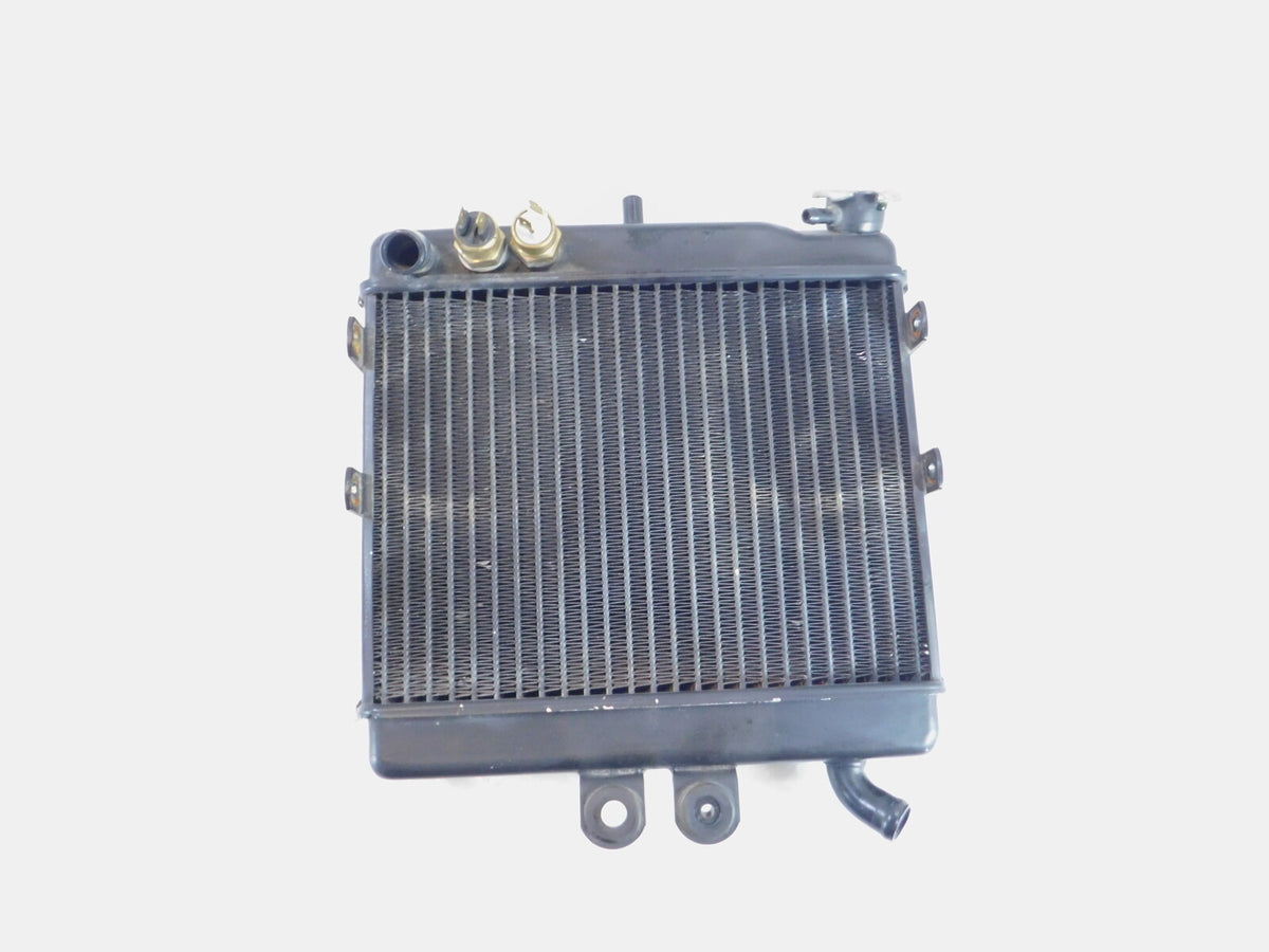 2002 MZ Skorpion Tour MZ660 660cc Black Motor Engine Oil Cooling Cooler Radiator