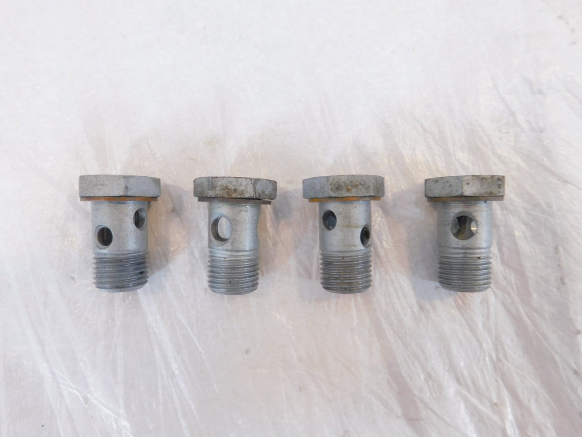 BMW F650 F650GS F650CS & R1200C R1200 Oil Pipe Hose Hollow Banjo Bleeder Bolts - C3 Cycle