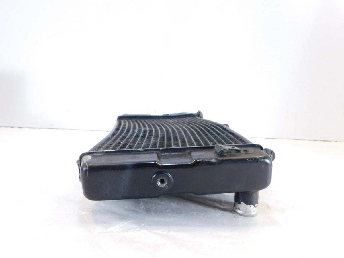 2002-2009 & 2012 Suzuki V-Strom DL1000 1000 Radiator Coolant Cooling - No Leaks - C3 Cycle