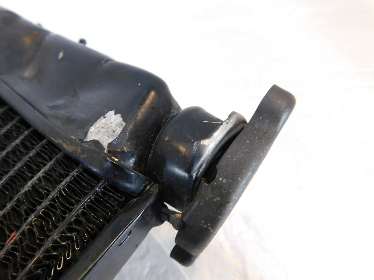 2002-2009 & 2012 Suzuki V-Strom DL1000 1000 Radiator Coolant Cooling - No Leaks - C3 Cycle