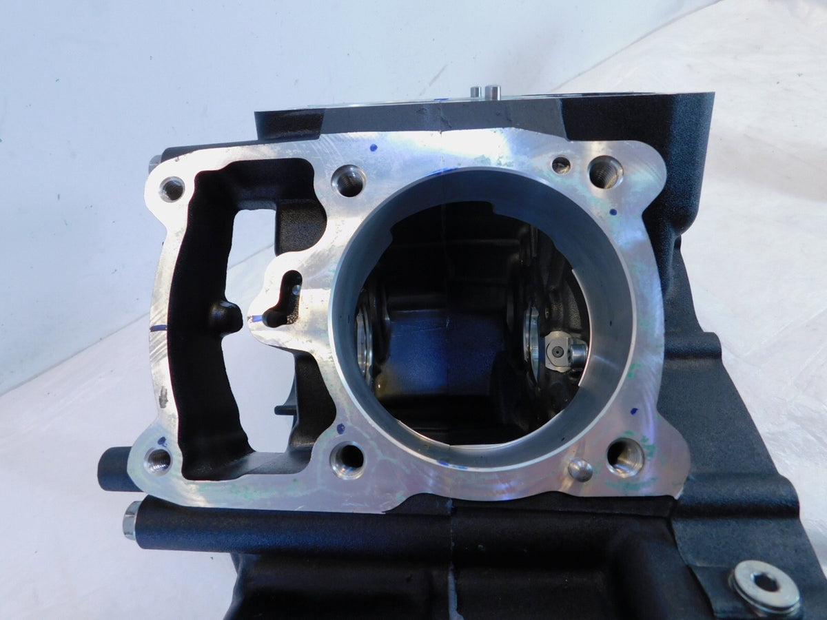 2015-2020 Harley Davidson Street 500 & 750 Engine Motor Crankcase Crank Cases
