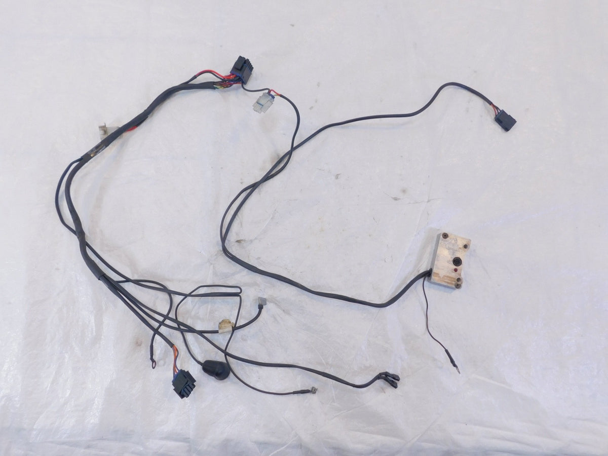 2002-2003 Indian Gilroy Scout Spirit Engine Wire Wiring Harness Ignition Module - C3 Cycle