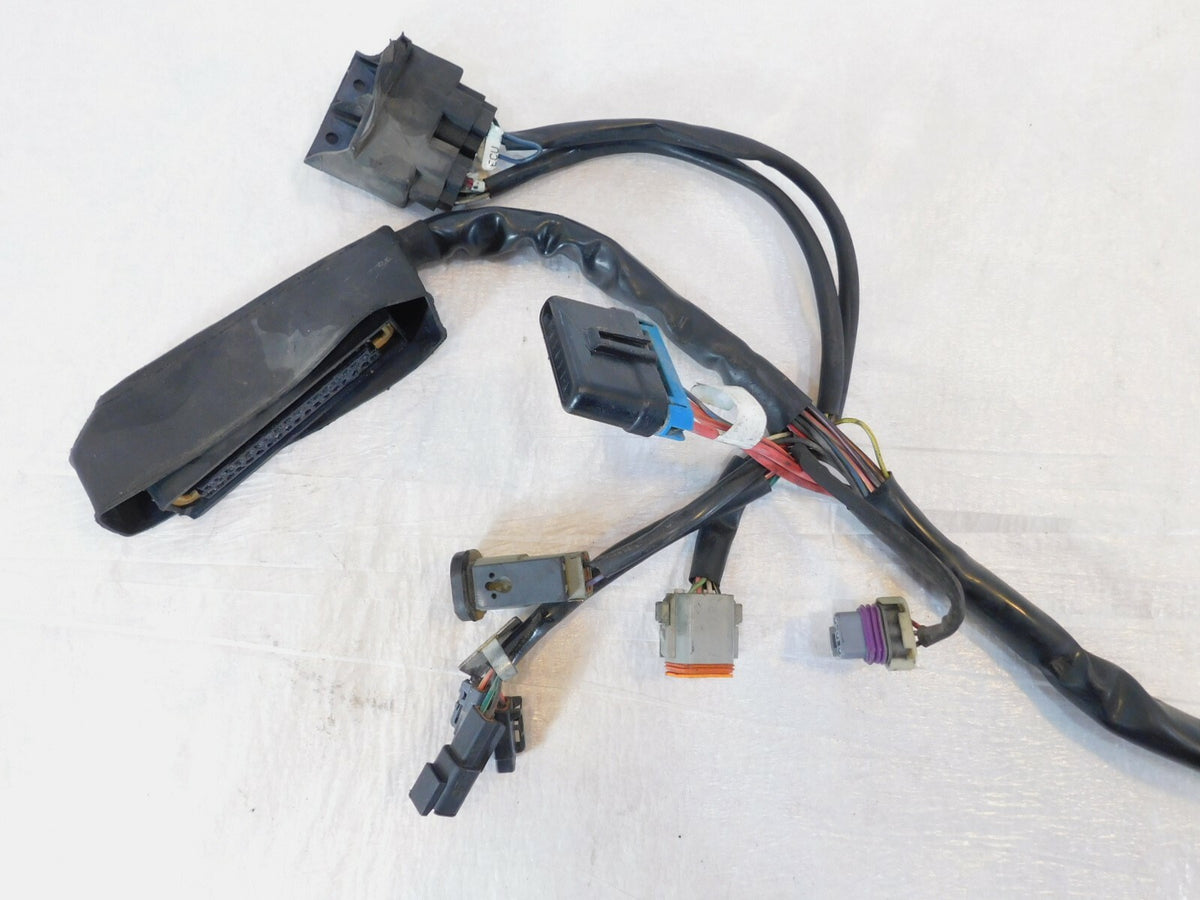 Harley Davidson Electra Glide Classic & Ultra Classic Fuel Injection EFI Harness - C3 Cycle