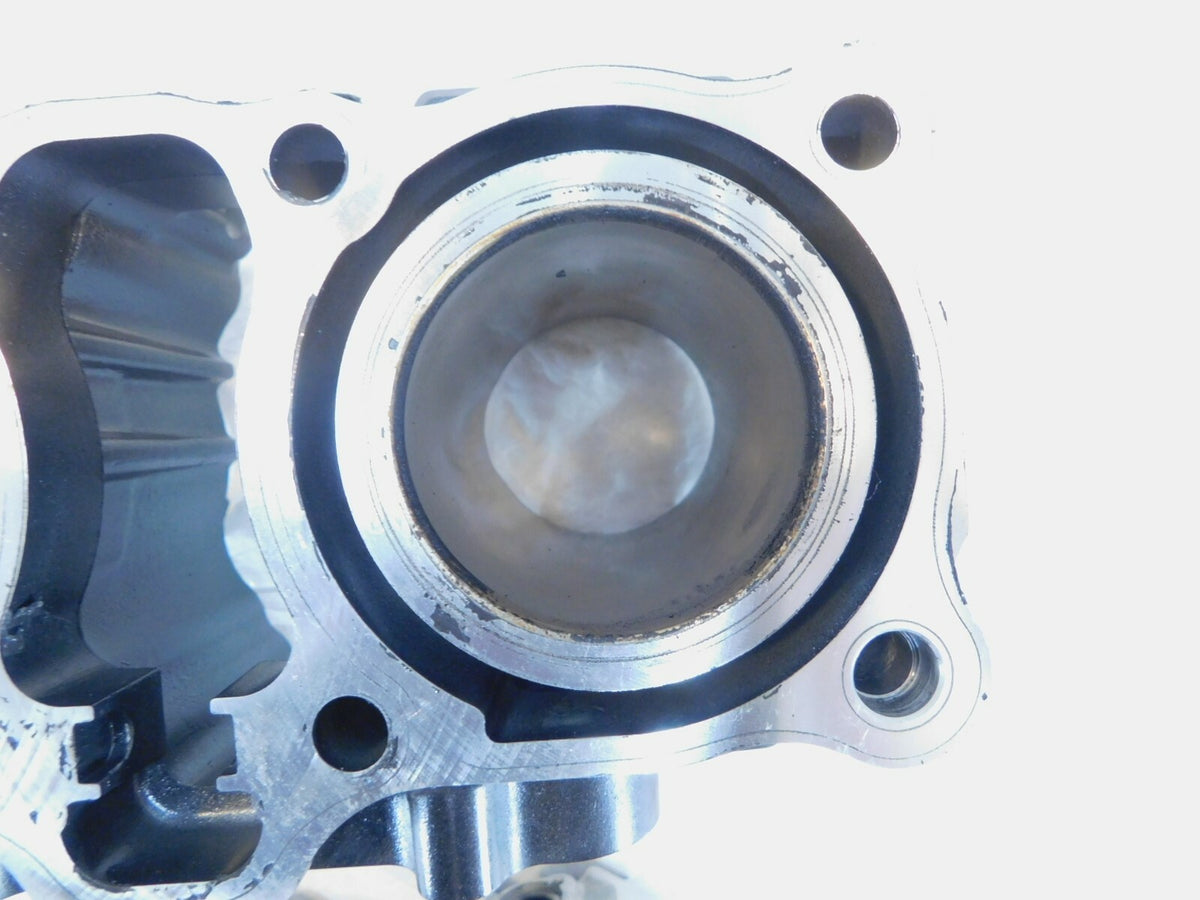 2018 & 2019 Suzuki GSX250R GSX 250R Engine Motor Cylinder Barrel Jugs & Pistons - C3 Cycle