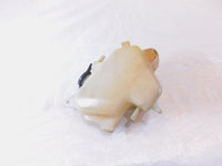 1994-1995 Honda CB1000 CB 1000 Radiator Coolant Reservoir Expansion Bottle Tank - C3 Cycle