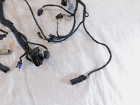 Harley Davidson Pan America RA1250 1250 1250S Engine Wire Wiring Harness Loom - C3 Cycle
