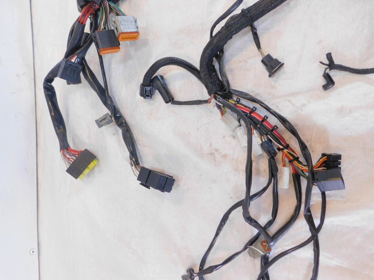 1999 99 Buell X1 Lightning Main Body & Engine Wire Wiring Harness Loom Y0200.KA - C3 Cycle