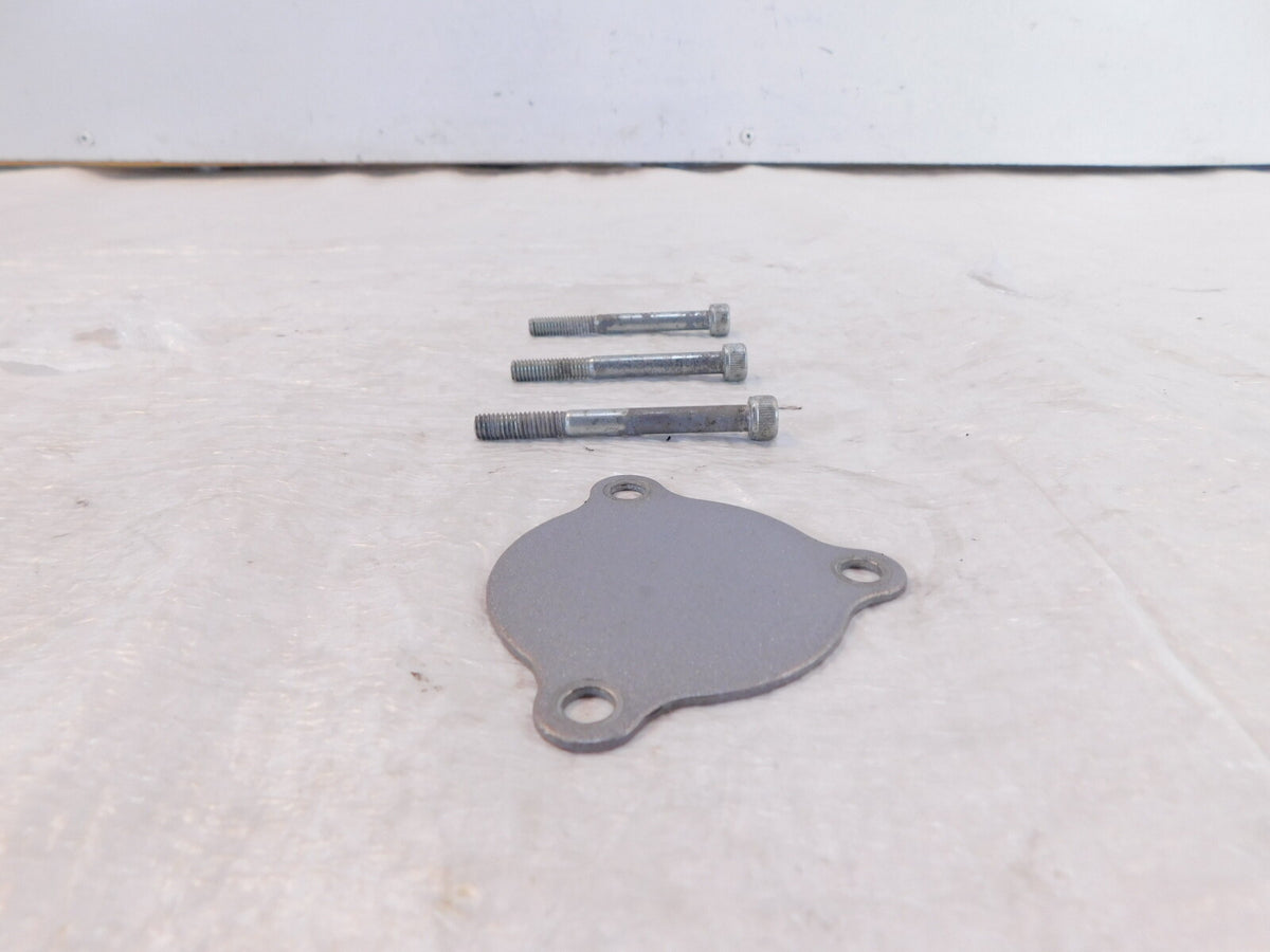 1991-1993 Honda Nighthawk 750 CB750 Silver Engine Left Side Cover Plate & Screws - C3 Cycle