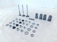 Victory Vision Kingpin & Vegas Exhaust & Intake Valves w/ Retainers & Springs - C3 Cycle