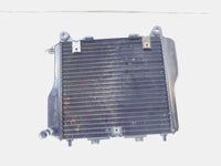 Kawasaki Ninja 1000 1000R ZX1000 Black Motor Engine Oil Cooling Cooler Radiator