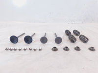 Victory Vision Kingpin & Vegas Intake/Exhast Valves w/ Springs & Retainer Seats - C3 Cycle