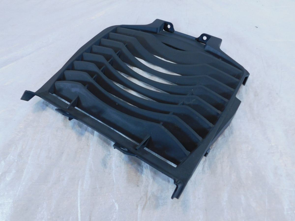 Indian Challenger Pursuit Limited & Dark Horse Front Chin Fairing Radiator Guard - C3 Cycle