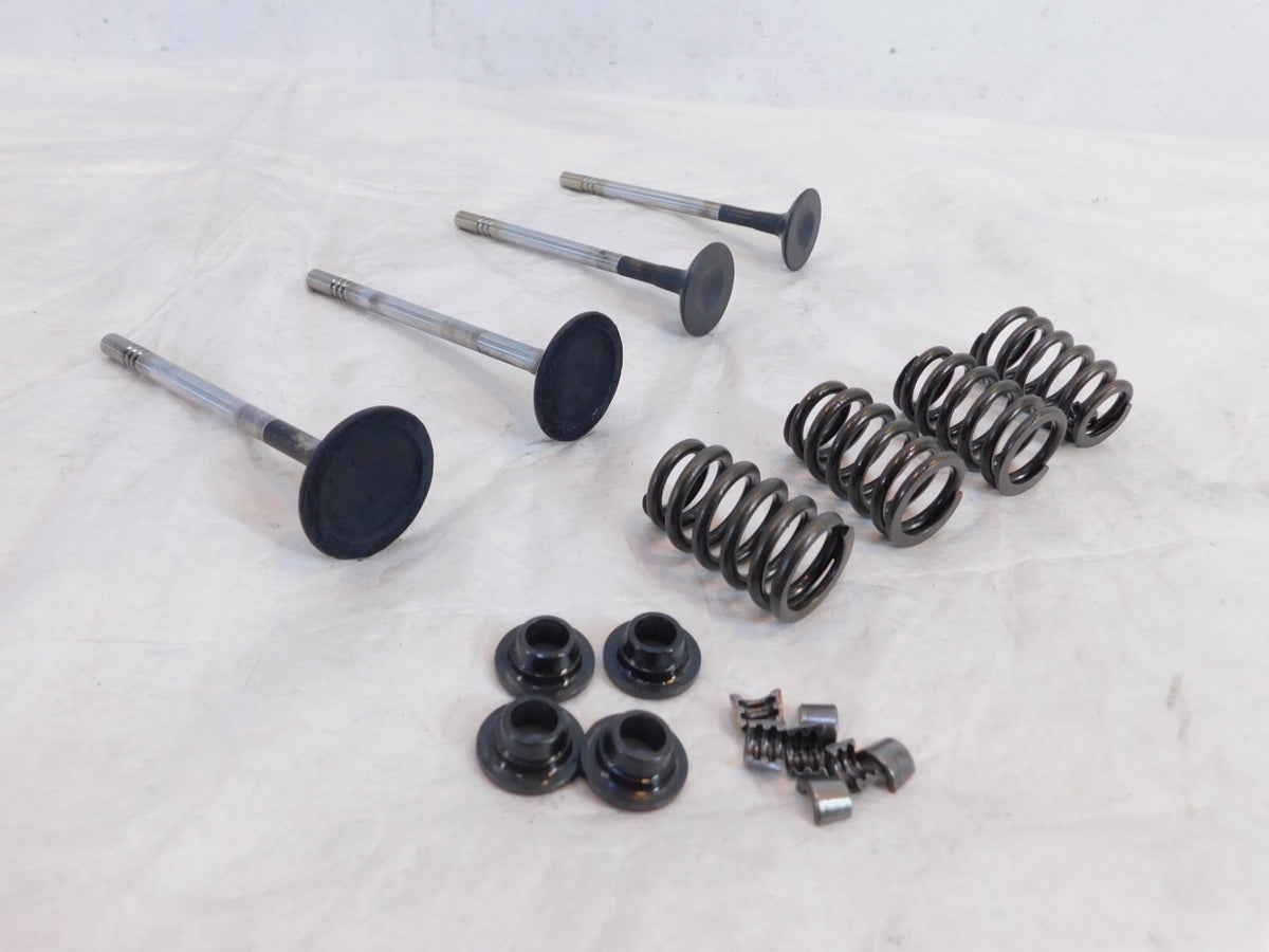 Victory Vision Kingpin & Vegas Exhaust & Intake Valves w/ Springs & Retainers - C3 Cycle