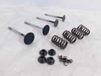 Victory Vision Kingpin & Vegas Exhaust & Intake Valves w/ Springs & Retainers - C3 Cycle