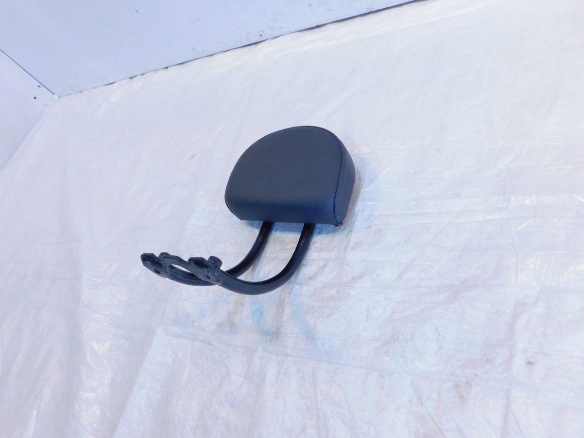 Harley Davidson Sportster S 1250 RH1250S Sissybar Rear Passenger Backrest