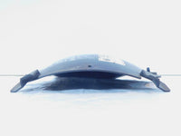 BMW K1200GT & K1200RS Rear Wheel Undertail Fender Mudguard Splashguard Cover - C3 Cycle