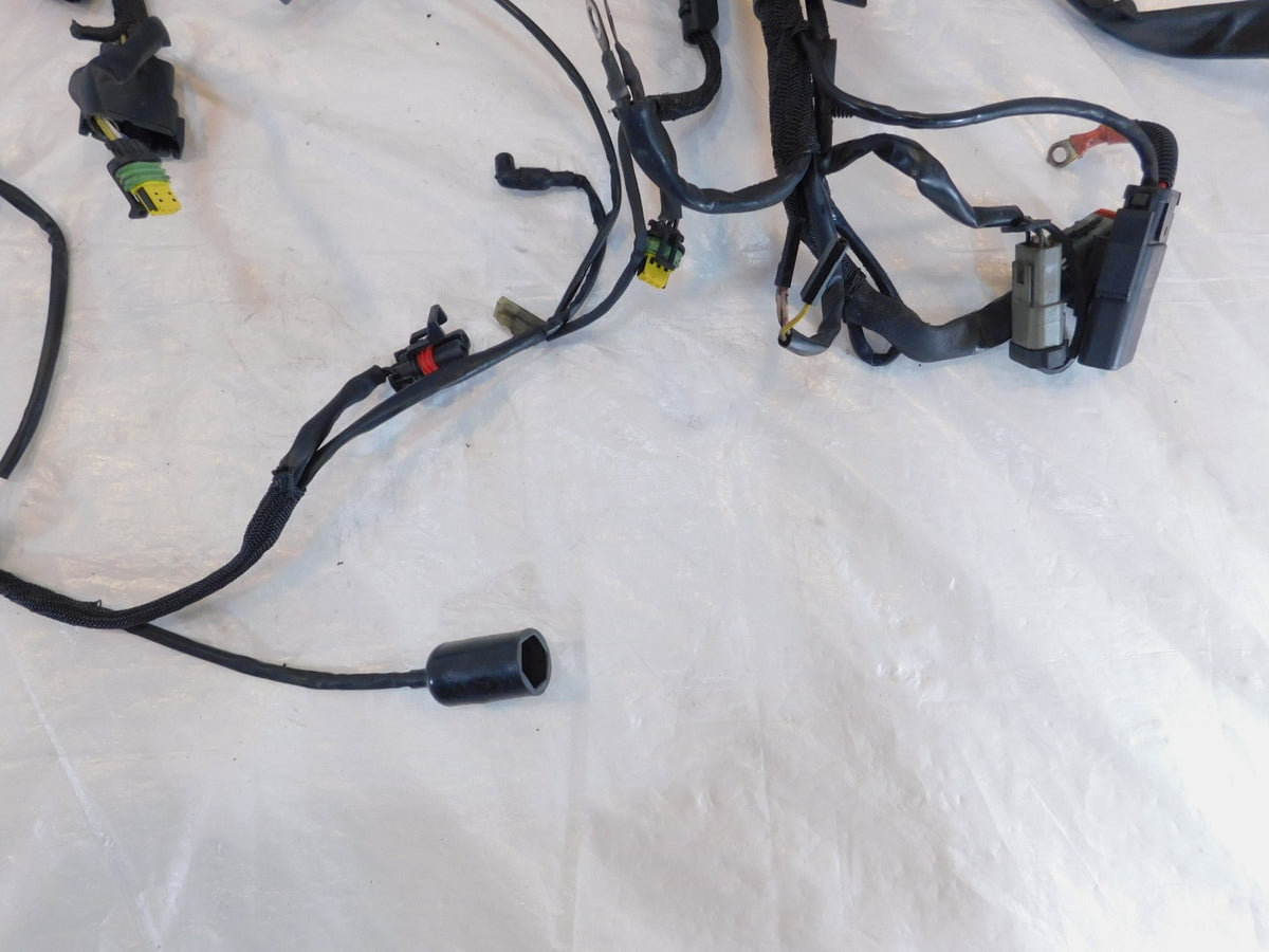 2006 06 Harley Davidson Sportster 883 & 1200 Main Wire Wiring Harness - no Key - C3 Cycle