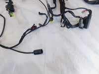 2006 06 Harley Davidson Sportster 883 & 1200 Main Wire Wiring Harness - no Key - C3 Cycle