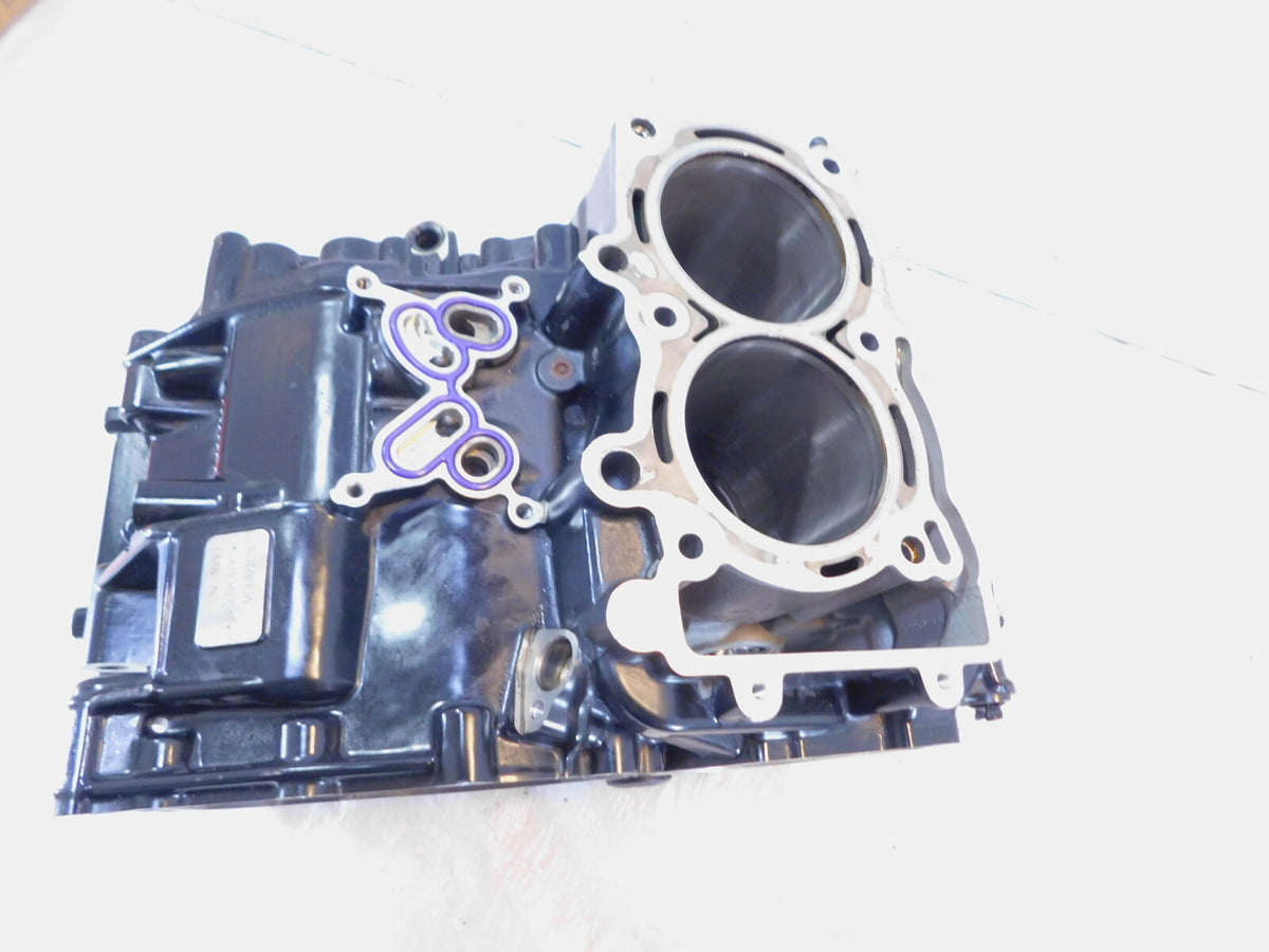 2020 20 BMW F900 R F900R Engine Motor Housing Block Crankcase & Cylinder Barrels - C3 Cycle