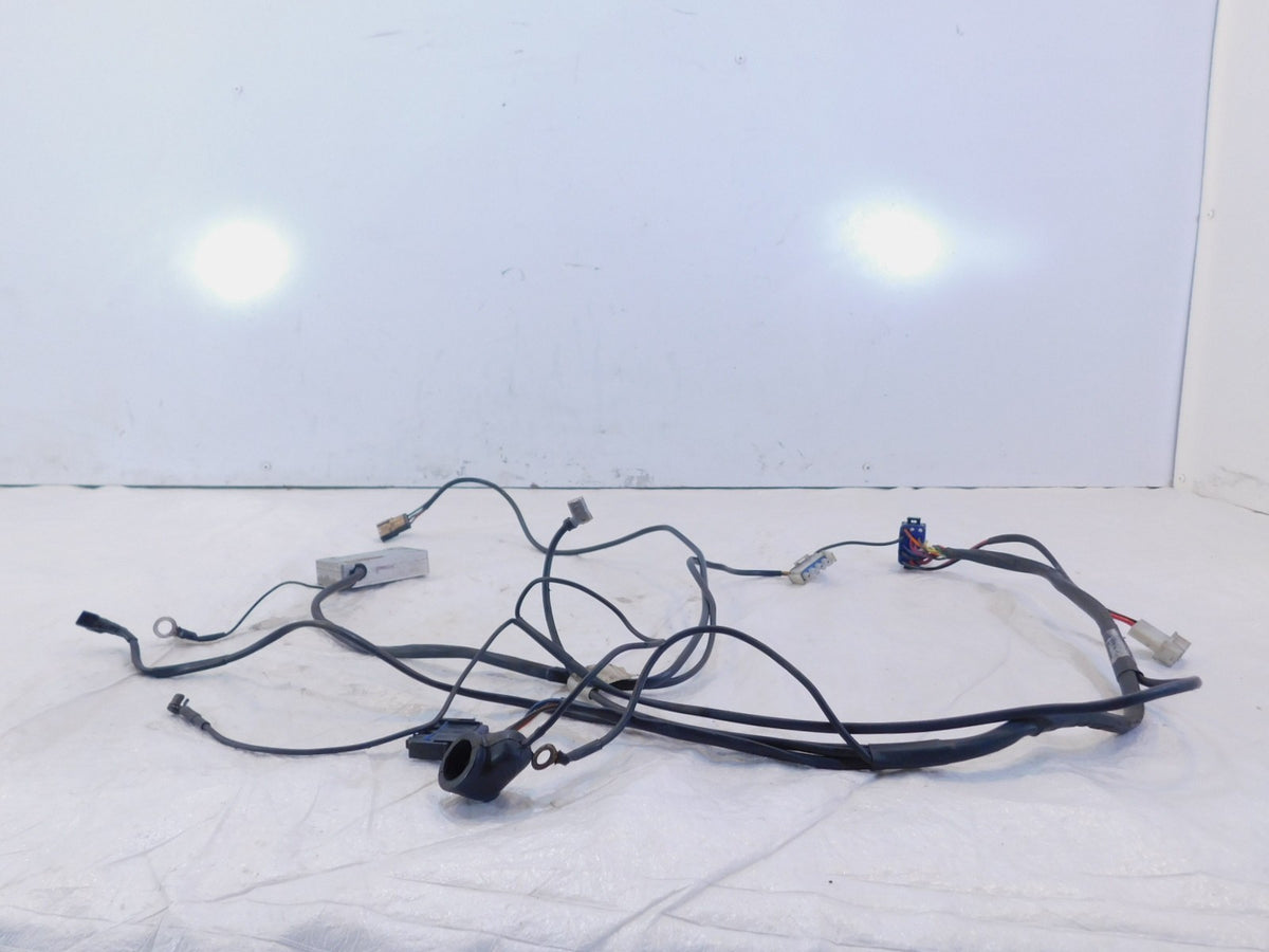 2002-2003 Indian Gilroy Scout Spirit Engine Wire Wiring Harness Ignition Module - C3 Cycle