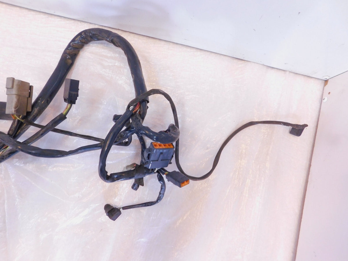 01-02 Harley Davidson Softail Heritage Classic & Fat Boy EFI Wire Wiring Harness - C3 Cycle