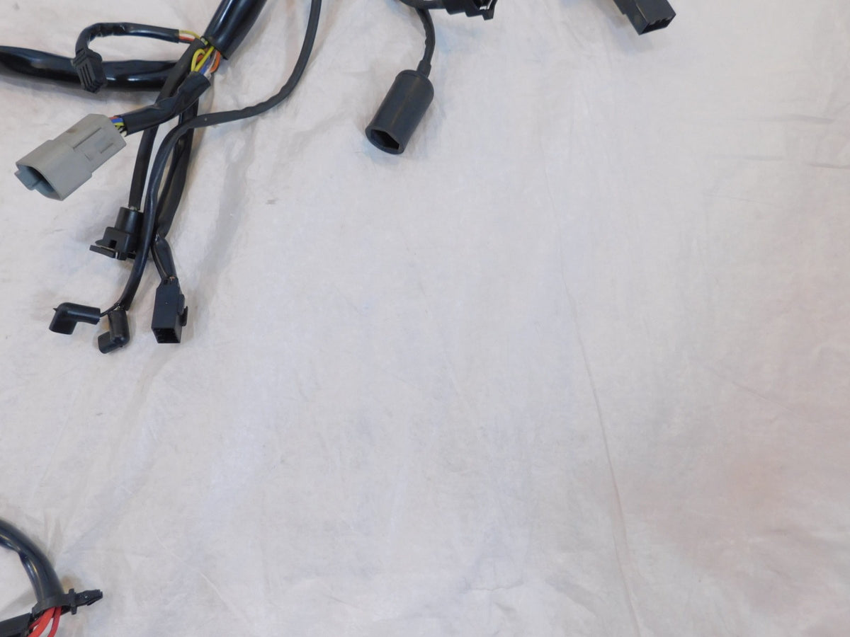 Harley Davidson Softail Heritage Classic & Fat Boy EFI Main Wire Wiring Harness - C3 Cycle