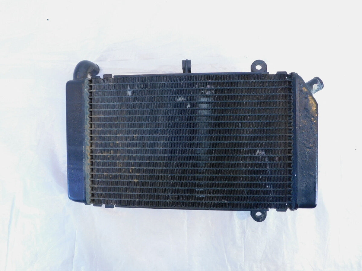 2002-2013 Honda FSC600 Silver Wing 600 Engine Motor Cooling Coolant Radiator - C3 Cycle