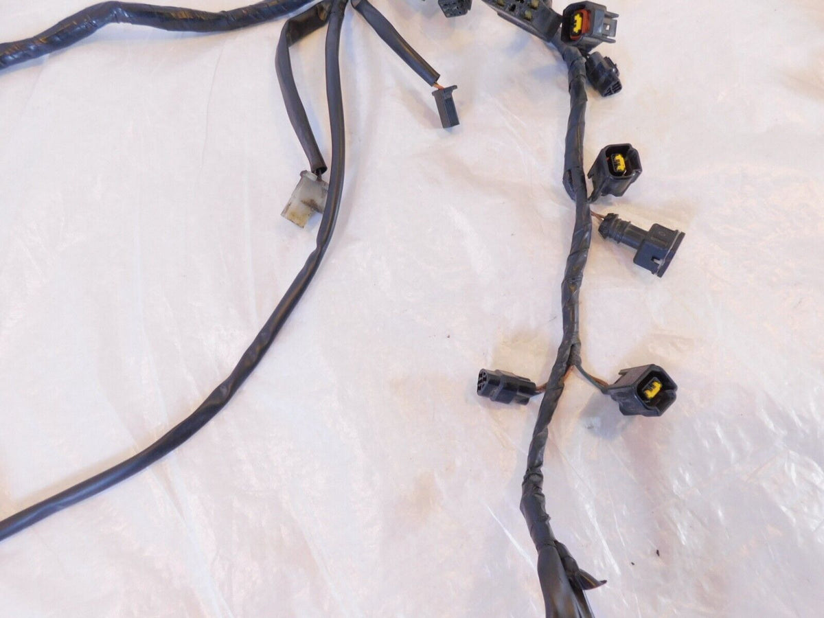 2007 2008 2009 2010 2011 2012 Triumph Tiger 1050 Main Wire Harness Wiring Loom - C3 Cycle