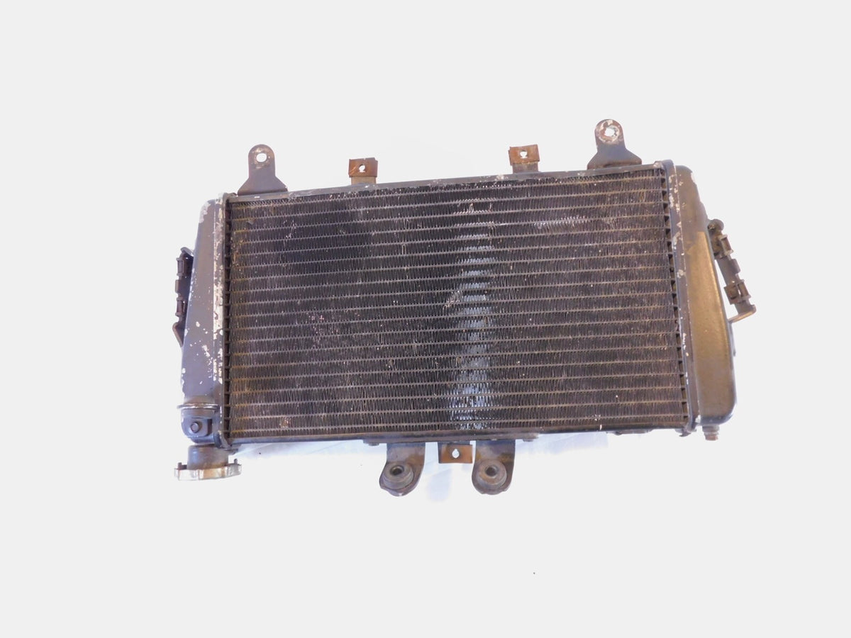 2007 2008 2009 2010 2011 2012 Triumph Tiger 1050 Engine Motor Cooling Radiator - C3 Cycle
