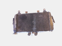 2007 2008 2009 2010 2011 2012 Triumph Tiger 1050 Engine Motor Cooling Radiator - C3 Cycle