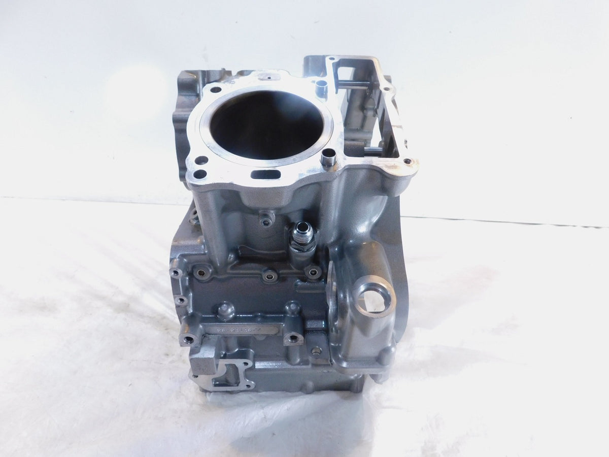 2003 Harley Davidson V-Rod VRod VRSCA Silver 100th Anniversary Crankcase - C3 Cycle