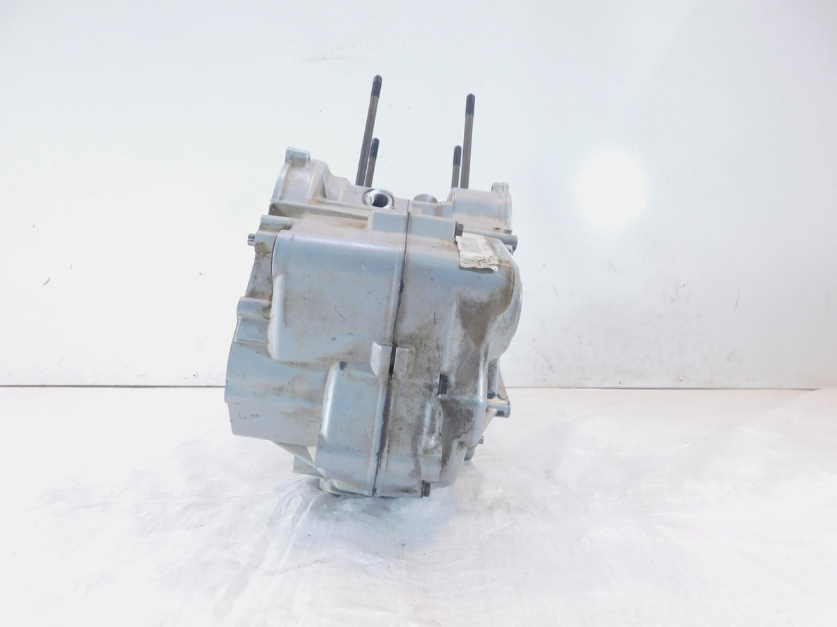 BMW F650 F650GS Dakar & Scarver Silver Engine Motor Block Housing Crankcase Case - C3 Cycle