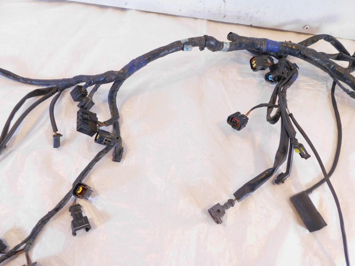 2007 2008 2009 2010 2011 2012 Triumph Tiger 1050 Main Wire Harness Wiring Loom - C3 Cycle