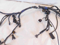 2007 2008 2009 2010 2011 2012 Triumph Tiger 1050 Main Wire Harness Wiring Loom - C3 Cycle