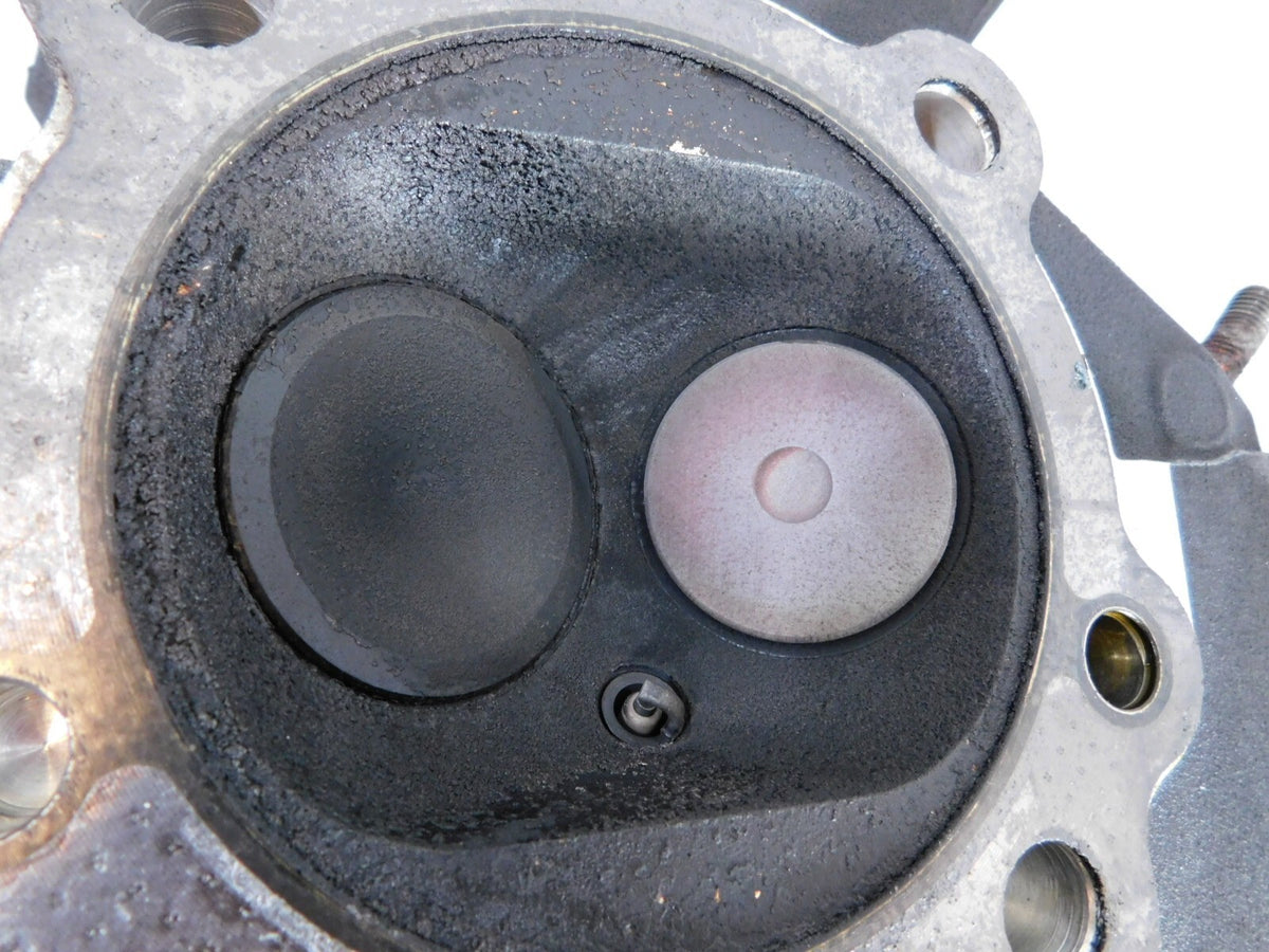 Harley Davidson Touring Softail & Dyna Black Cylinder Heads & Valves w/ Springs - C3 Cycle