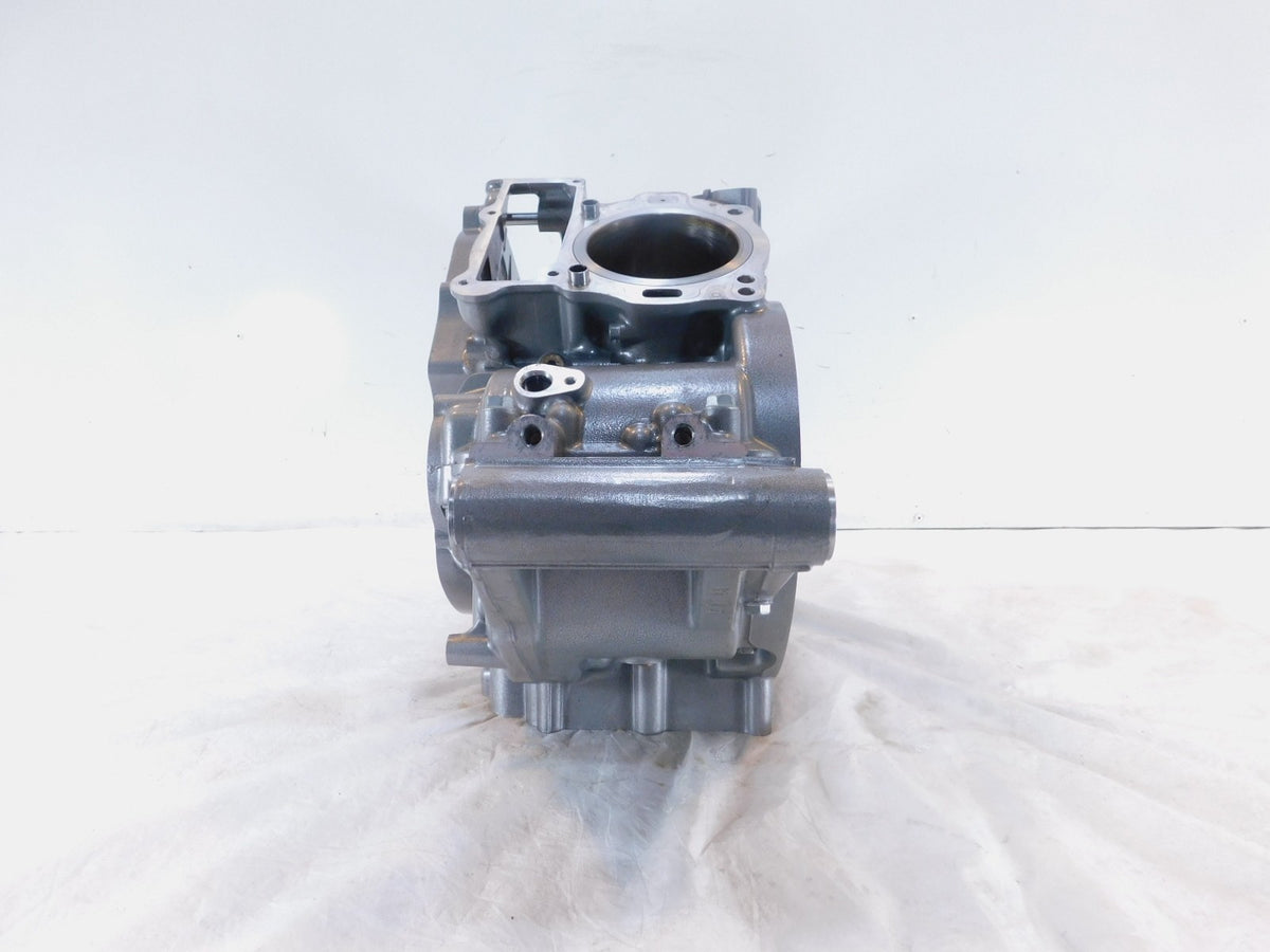 2003 Harley Davidson V-Rod VRod VRSCA Silver 100th Anniversary Crankcase - C3 Cycle
