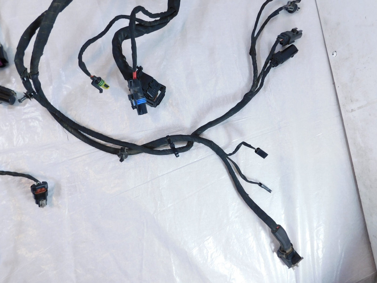 2018-2020 Harley Davidson Softail Low Rider & Fat Boy Main Wire Wiring Harness