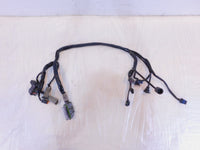 2004 2005 Harley Davidson Road King & Electra Glide EFI ECM Wire Wiring Harness - C3 Cycle