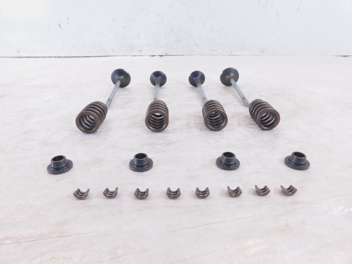 Victory Hammer Kingpin & Vegas Exhaust & Intake Valves w/ Retainers & Springs - C3 Cycle
