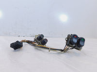 Harley Davidson Electra Glide Ultra Classic Cruise Speaker & Fog Switch Buttons - C3 Cycle