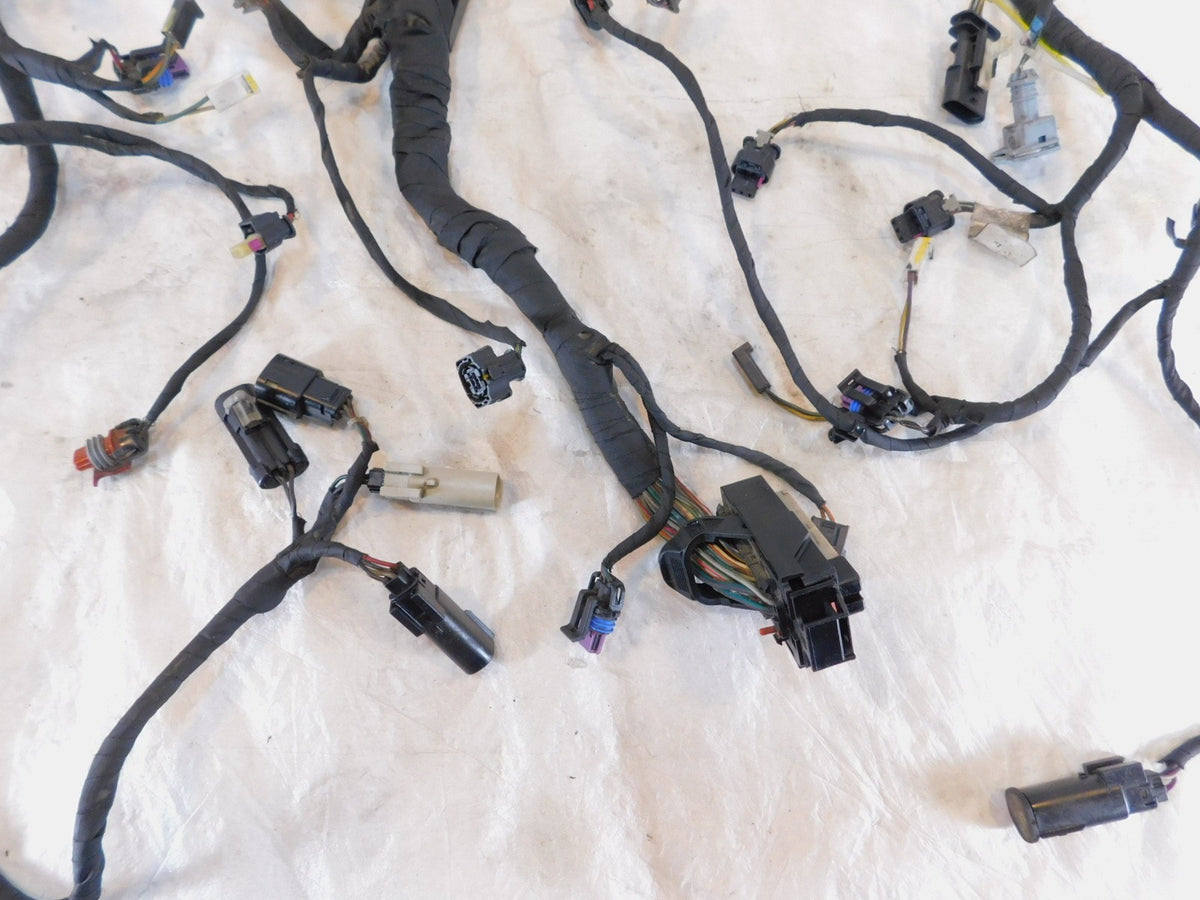 Harley Davidson Pan America RA1250 1250 1250S Engine Wire Wiring Harness Loom - C3 Cycle