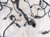 Harley Davidson Pan America RA1250 1250 1250S Engine Wire Wiring Harness Loom - C3 Cycle