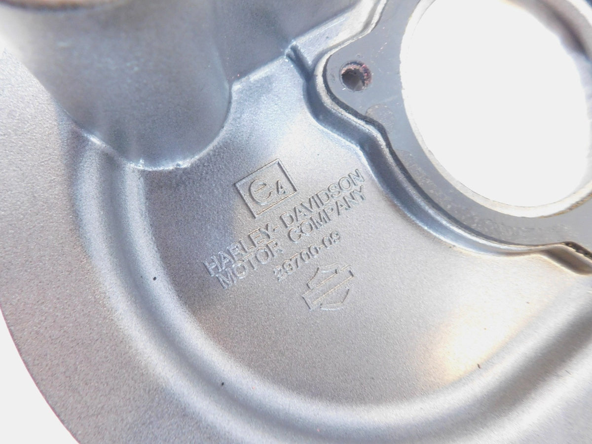 Harley Davidson CVO Street & Road Glide 110 Air Cleaner Backplate & Filter Cover - C3 Cycle
