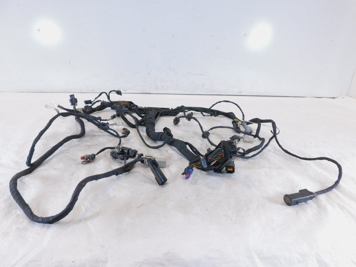 Harley Davidson Pan America RA1250 1250 1250S Engine Wire Wiring Harness Loom - C3 Cycle