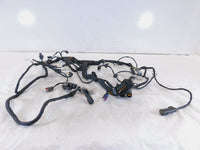 Harley Davidson Pan America RA1250 1250 1250S Engine Wire Wiring Harness Loom - C3 Cycle