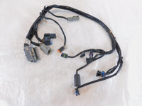 2004 2005 Harley Davidson Road King & Electra Glide EFI ECM Wire Wiring Harness - C3 Cycle