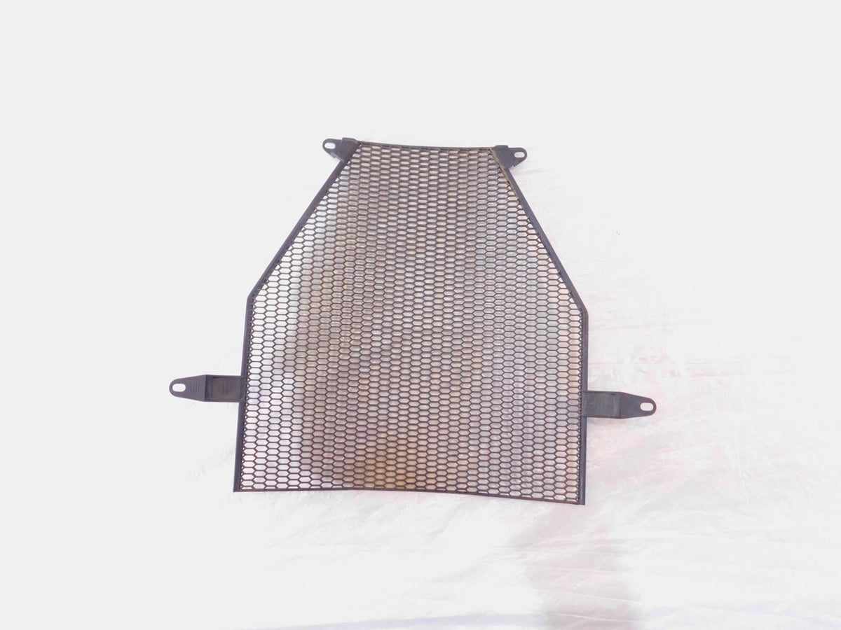 BMW K1200R K1300 K1300S K1300GT K1600GTL K1600GT Radiator Protective Grill Cover